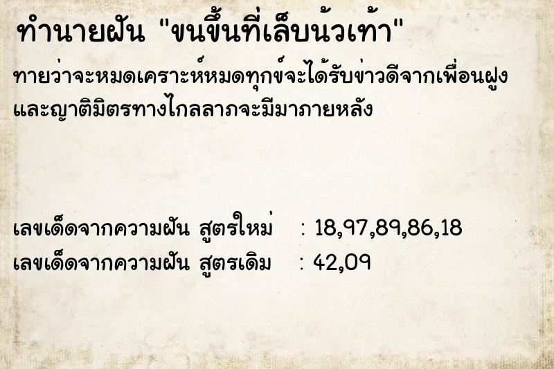 ทำนายฝัน ขนขึ้นที่เล็บน้วเท้า