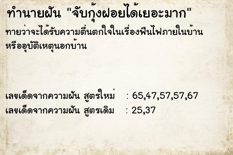 ทำนายฝัน จับกุ้งฝอยได้เยอะมาก