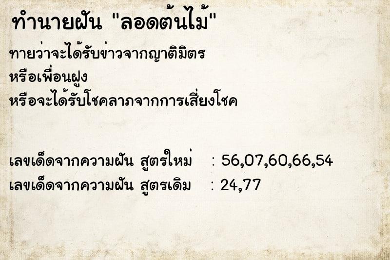 ทำนายฝัน ลอดต้นไม้