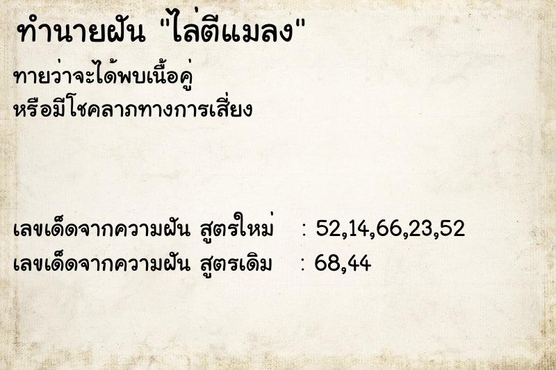 ทำนายฝัน ไล่ตีแมลง