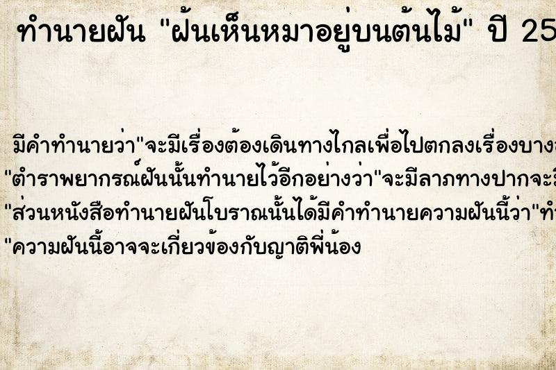 ทำนายฝัน ฝ้นเห็นหมาอยู่บนต้นไม้  เลขนำโชค 