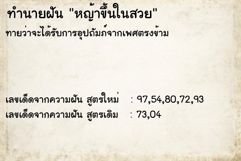 ทำนายฝัน หญ้าขึ้นในสวย