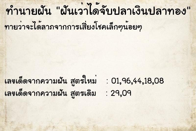 ทำนายฝัน ฝันเว่าได้จับปลาเงินปลาทอง