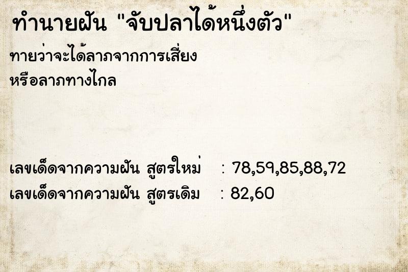 ทำนายฝัน จับปลาได้หนึ่งตัว