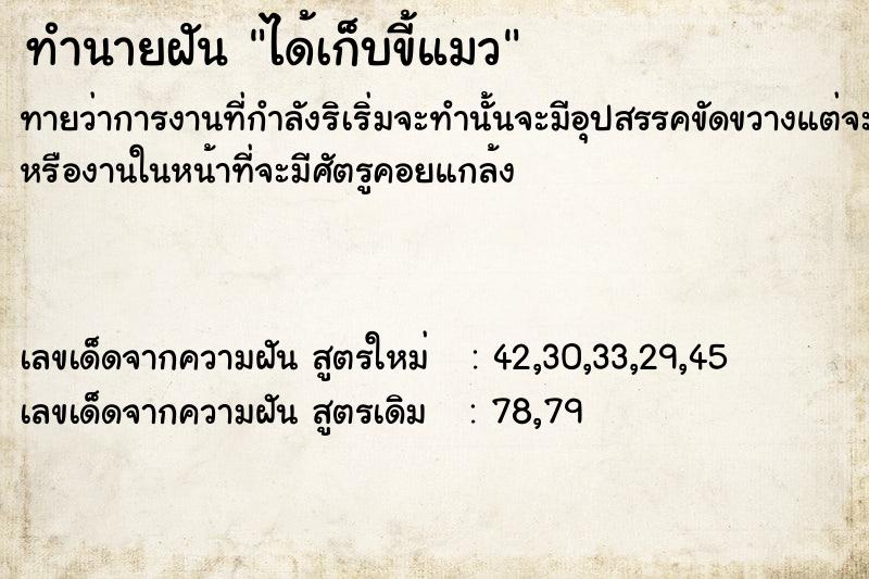 ทำนายฝัน ได้เก็บขี้แมว