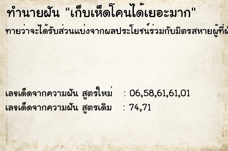 ทำนายฝัน เก็บเห็ดโคนได้เยอะมาก  เลขนำโชค 