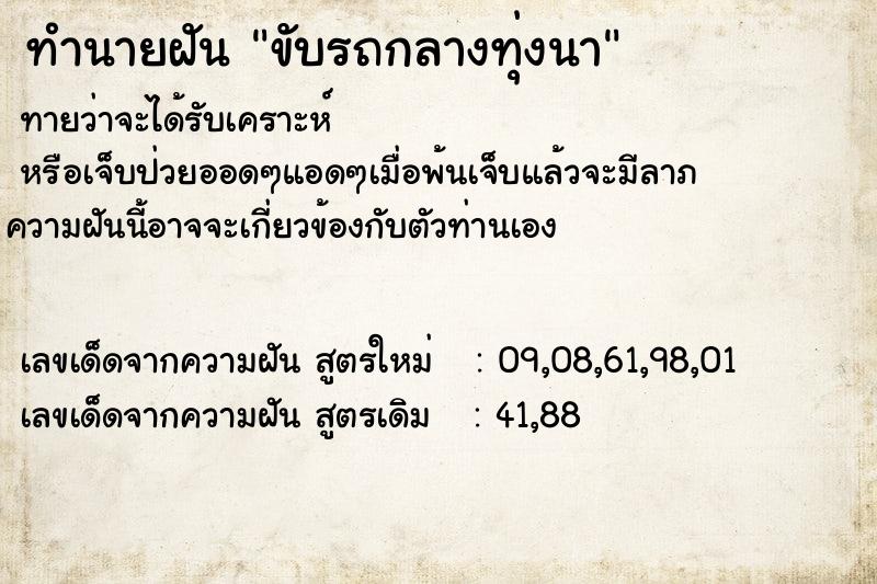 ทำนายฝัน ขับรถกลางทุ่งนา