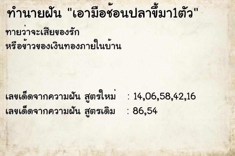 ทำนายฝัน เอามือช้อนปลาขึ้มา1ตัว