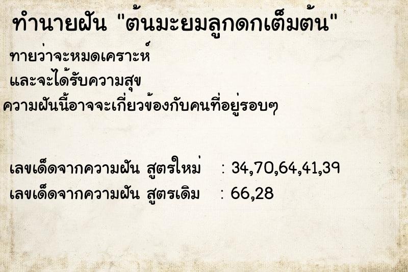 ทำนายฝัน ต้นมะยมลูกดกเต็มต้น