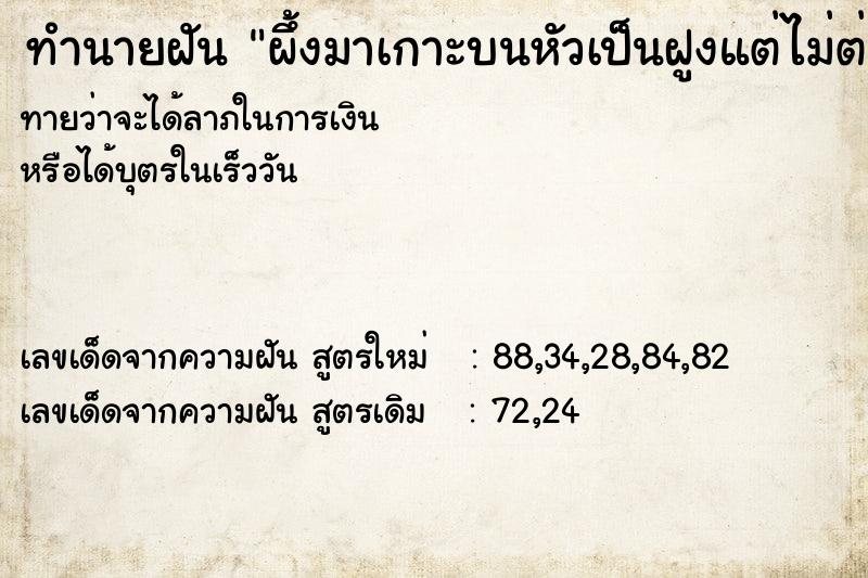 ทำนายฝัน ผึ้งมาเกาะบนหัวเป็นฝูงแต่ไม่ต่อย