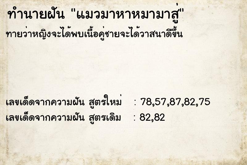 ทำนายฝัน แมวมาหาหมามาสู่