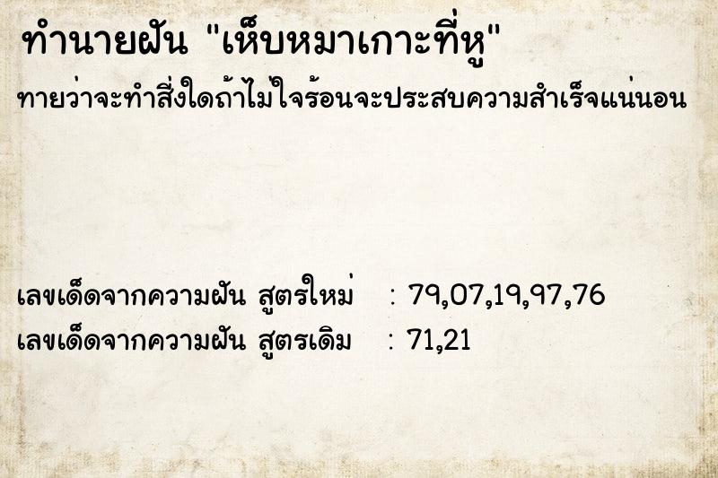 ทำนายฝัน เห็บหมาเกาะที่หู