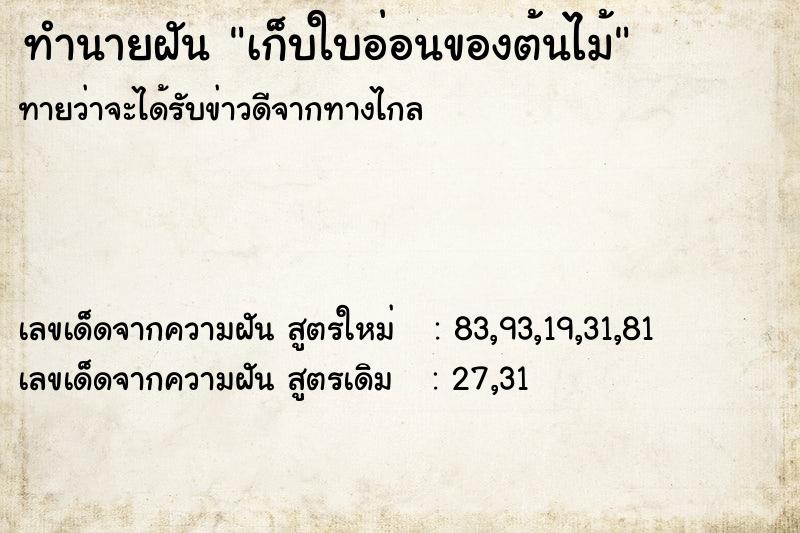 ทำนายฝัน เก็บใบอ่อนของต้นไม้