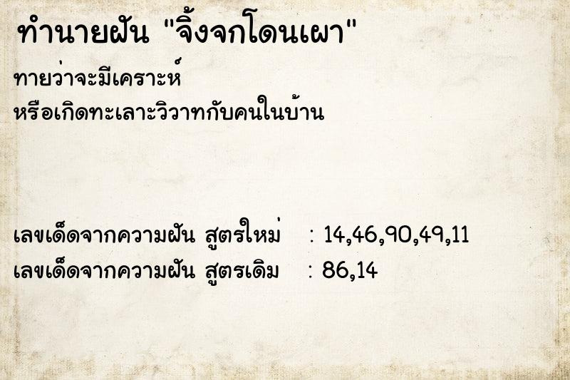 ทำนายฝัน จิ้งจกโดนเผา