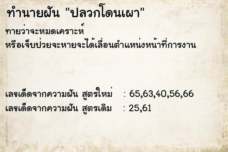 ทำนายฝัน ปลวกโดนเผา