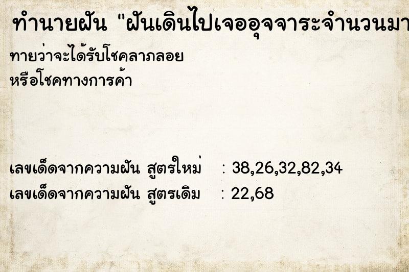 ทำนายฝัน ฝันเดินไปเจออุจจาระจำนวนมาก