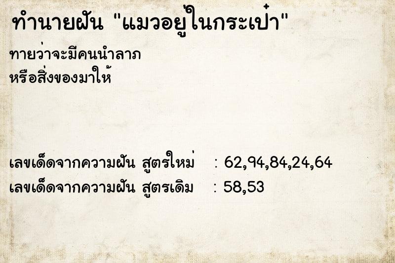 ทำนายฝัน แมวอยู่ในกระเป๋า  เลขนำโชค 