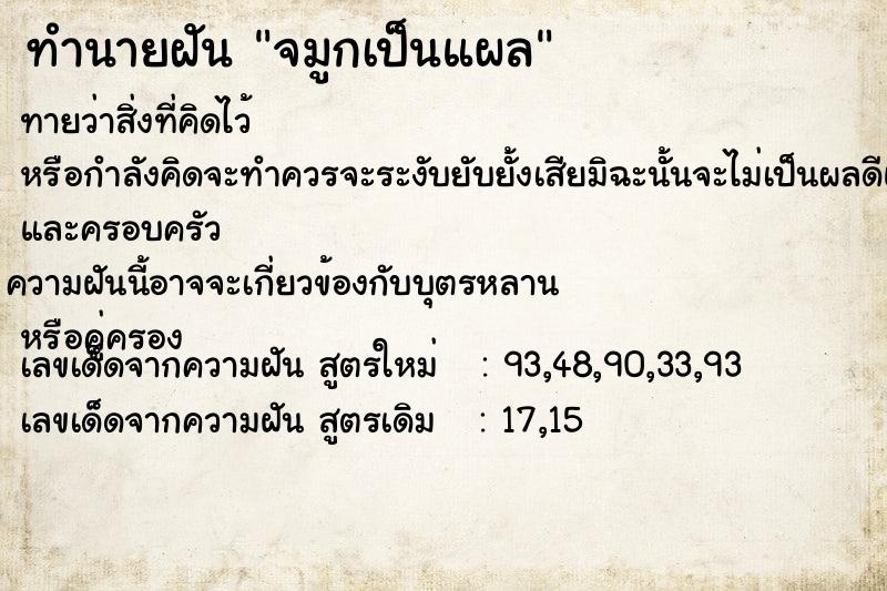 ทำนายฝัน จมูกเป็นแผล