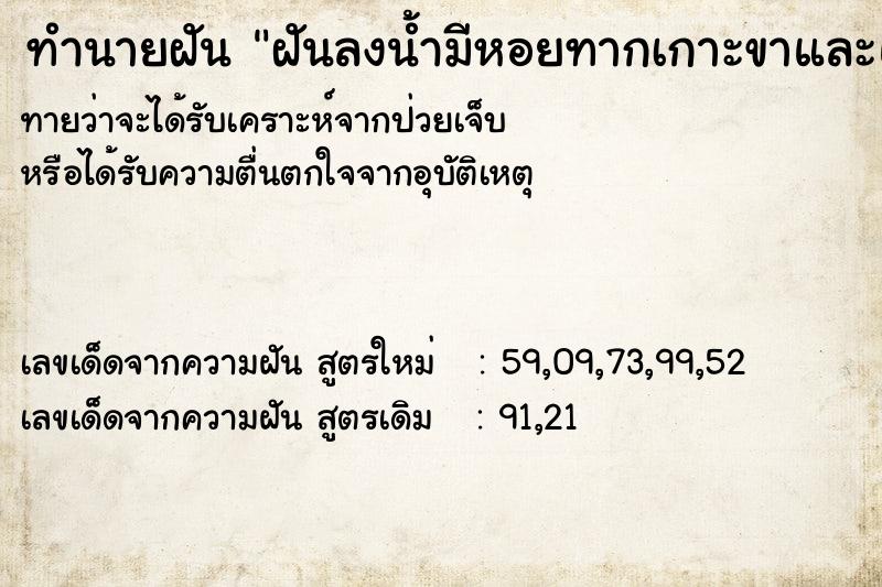 ทำนายฝัน ฝันลงน้ำมีหอยทากเกาะขาและแกะออก