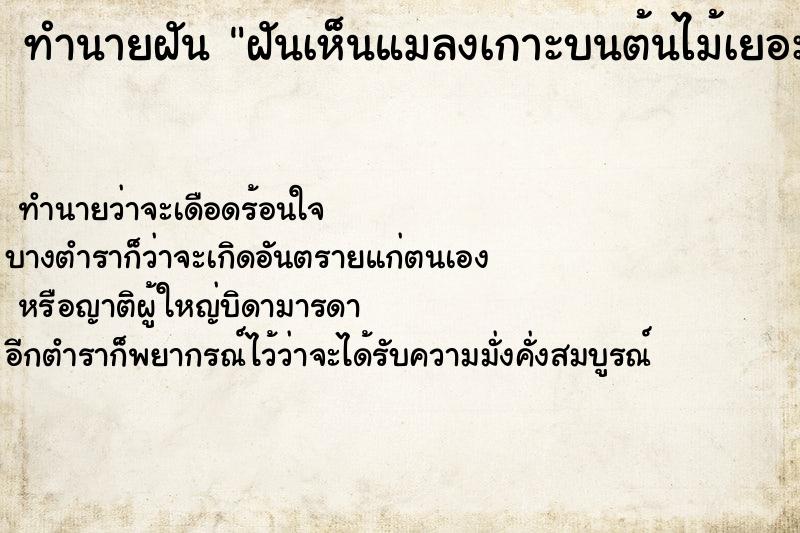 ทำนายฝัน ฝันเห็นแมลงเกาะบนต้นไม้เยอะมาก