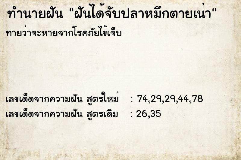 ทำนายฝัน ฝันได้จับปลาหมึกตายเน่า