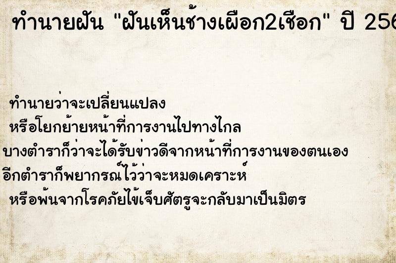 ทำนายฝัน ฝันเห็นช้างเผือก2เชือก