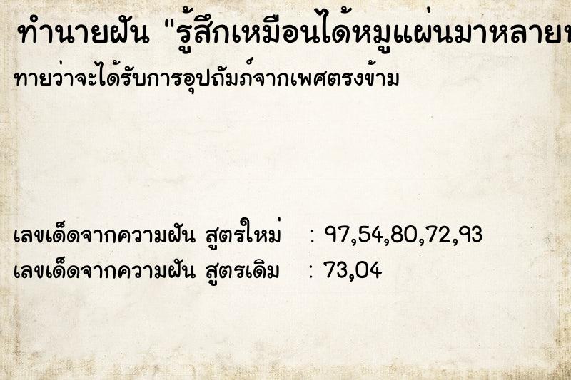 ทำนายฝัน รู้สึกเหมือนได้หมูแผ่นมาหลายห่อและได้กินด้วย