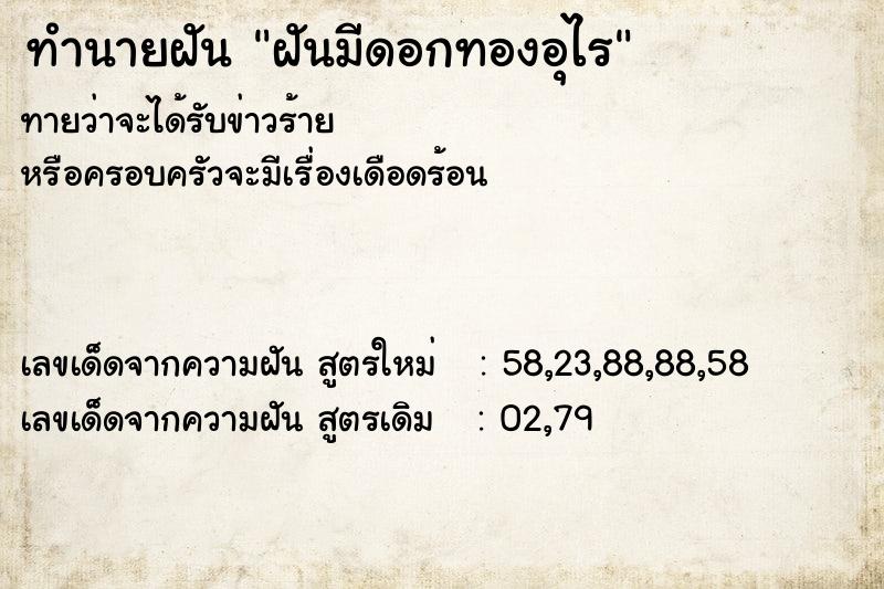 ทำนายฝัน ฝันมีดอกทองอุไร