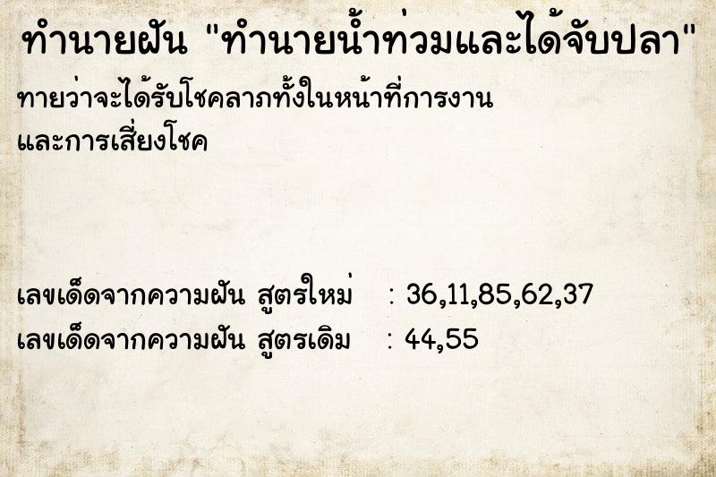 ทำนายฝัน ทำนายน้ำท่วมและได้จับปลา