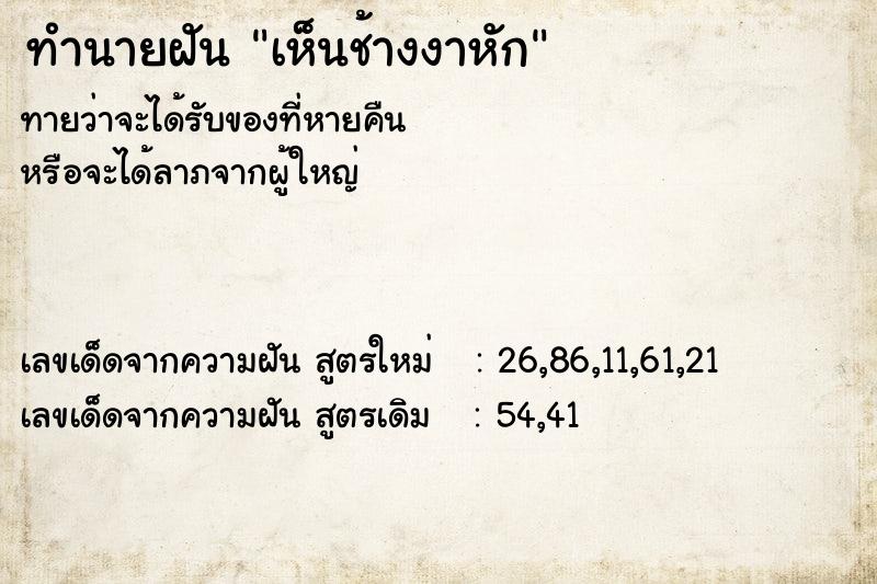 ทำนายฝัน เห็นช้างงาหัก