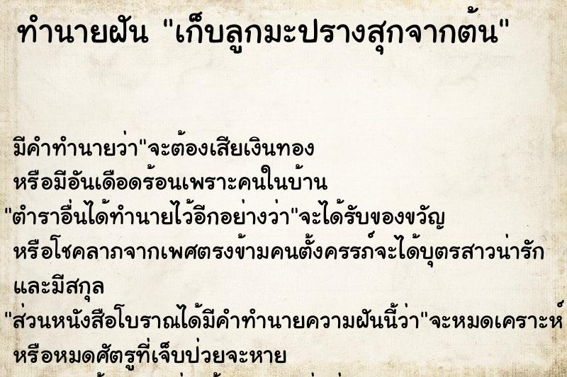 ทำนายฝัน เก็บลูกมะปรางสุกจากต้น