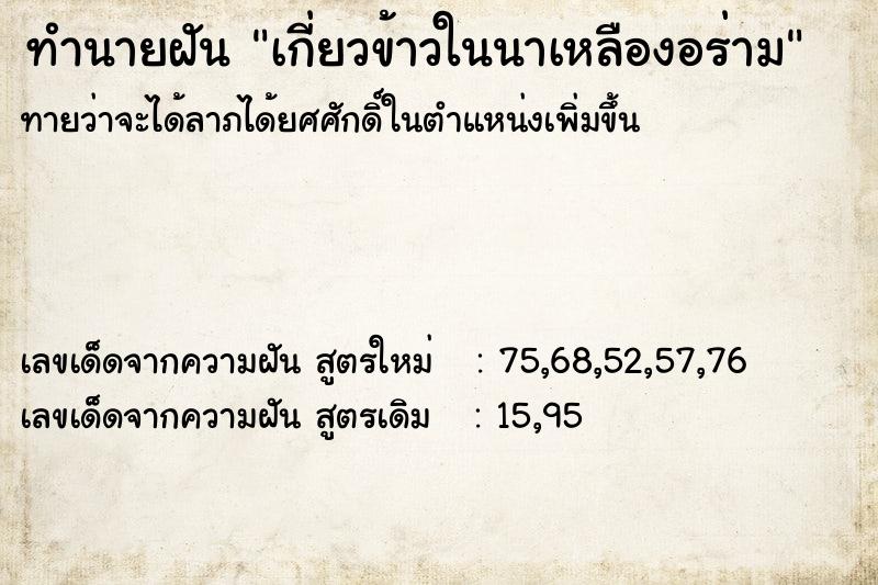 ทำนายฝัน เกี่ยวข้าวในนาเหลืองอร่าม