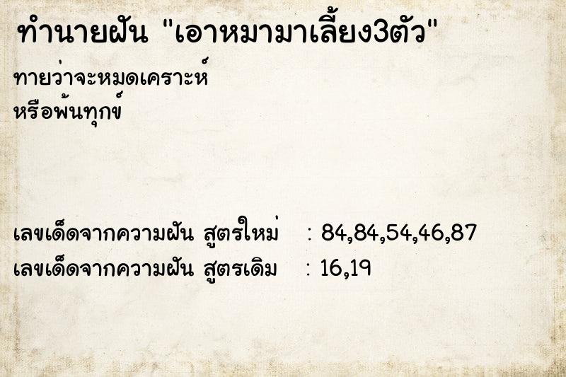 ทำนายฝัน เอาหมามาเลี้ยง3ตัว