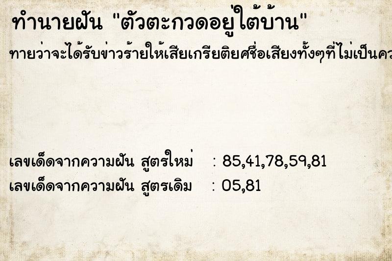 ทำนายฝัน ตัวตะกวดอยู่ใต้บ้าน