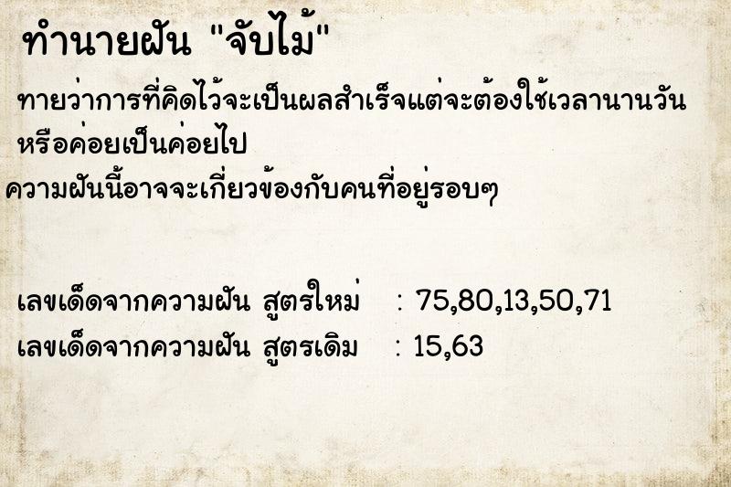 ทำนายฝัน จับไม้  เลขนำโชค 