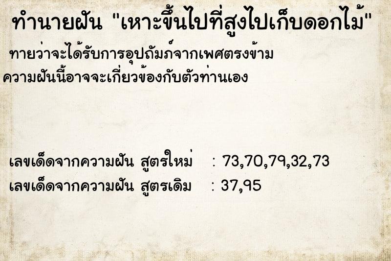 ทำนายฝัน เหาะขึ้นไปที่สูงไปเก็บดอกไม้