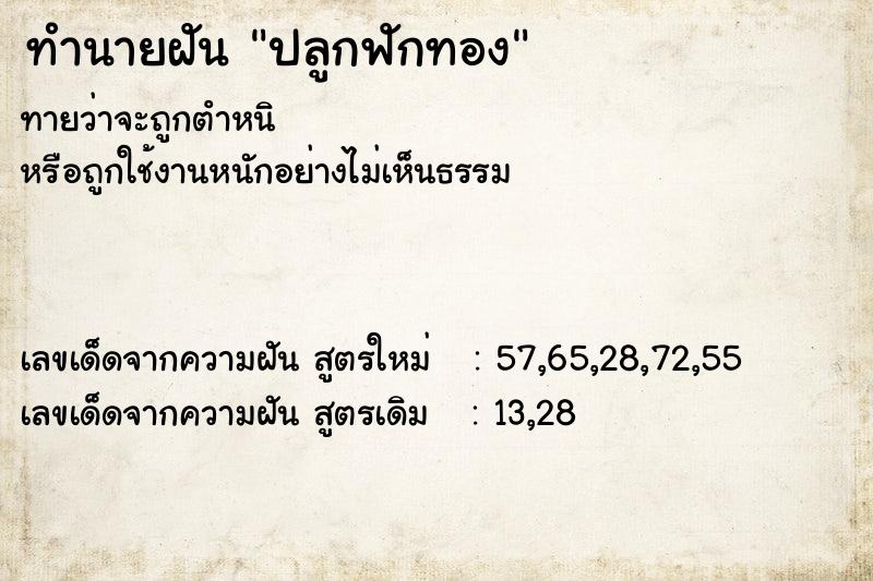 ทำนายฝัน ปลูกฟักทอง  เลขนำโชค 