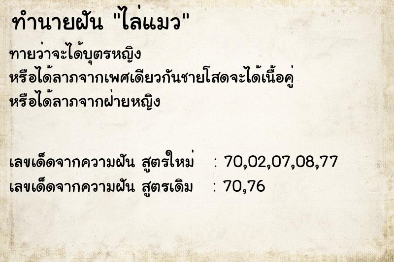 ทำนายฝัน ไล่แมว  เลขนำโชค 