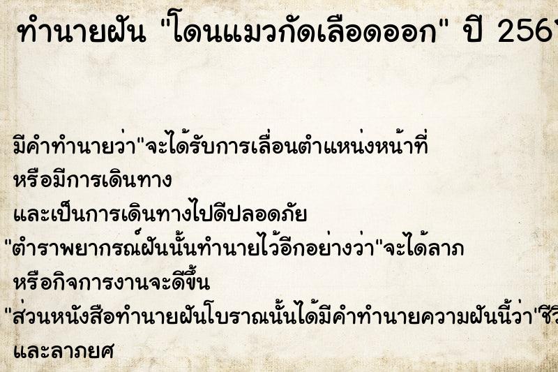 ทำนายฝัน โดนแมวกัดเลือดออก  เลขนำโชค 