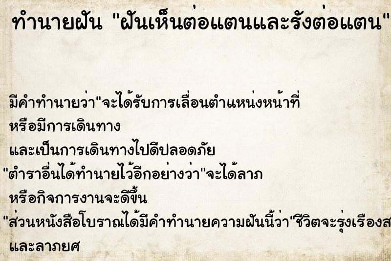 ทำนายฝัน ฝันเห็นต่อแตนและรังต่อแตน