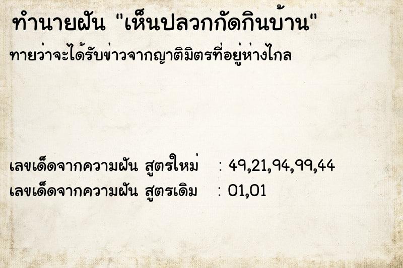 ทำนายฝัน เห็นปลวกกัดกินบ้าน