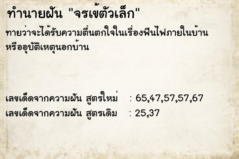 ทำนายฝัน จรเข้ตัวเล็ก