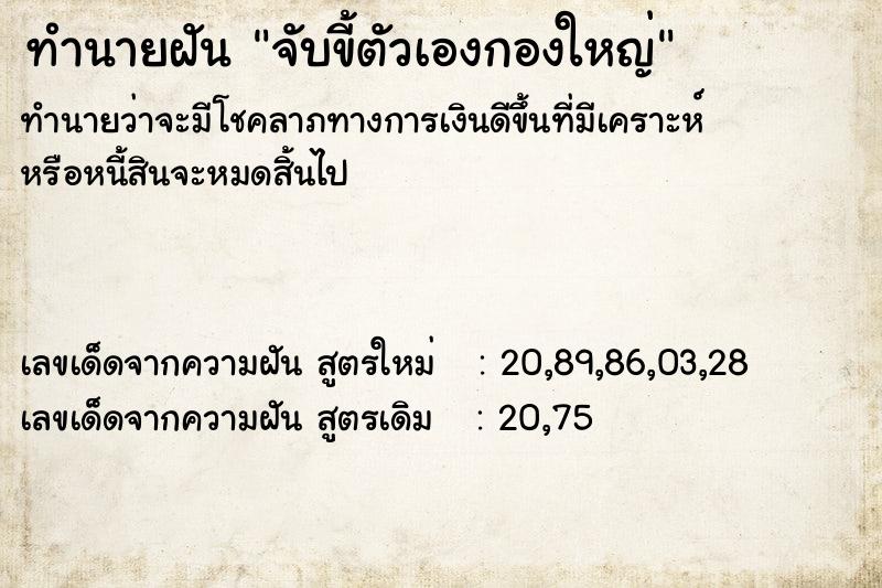 ทำนายฝัน จับขี้ตัวเองกองใหญ่