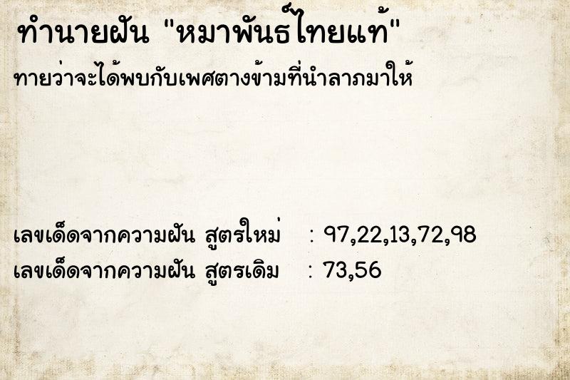 ทำนายฝัน หมาพันธ์ไทยแท้