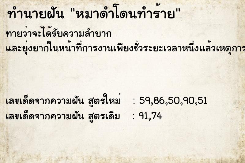 ทำนายฝัน หมาดำโดนทำร้าย