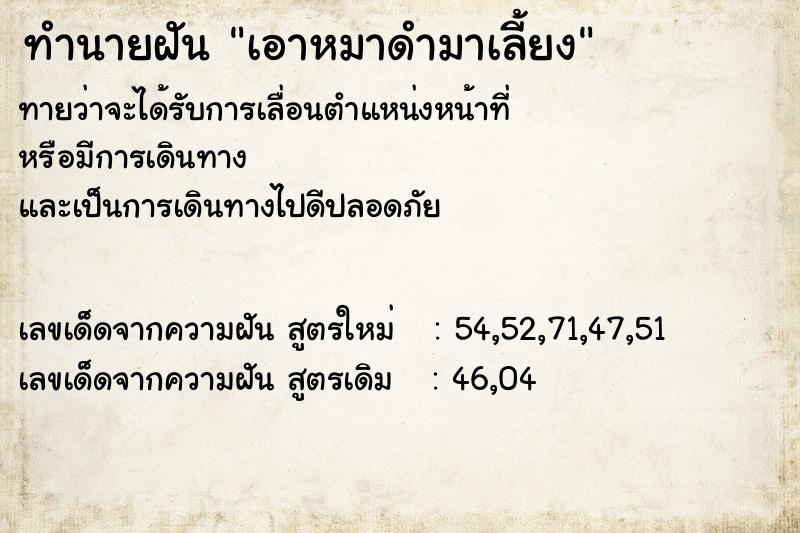 ทำนายฝัน เอาหมาดำมาเลี้ยง