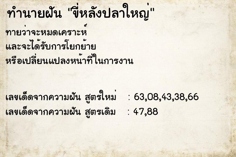 ทำนายฝัน ขี่หลังปลาใหญ่