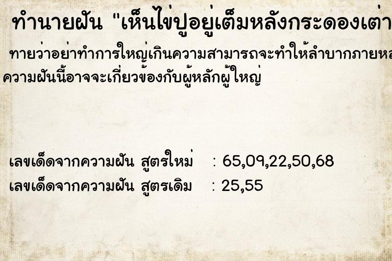 ทำนายฝัน เห็นไข่ปูอยู่เต็มหลังกระดองเต่า