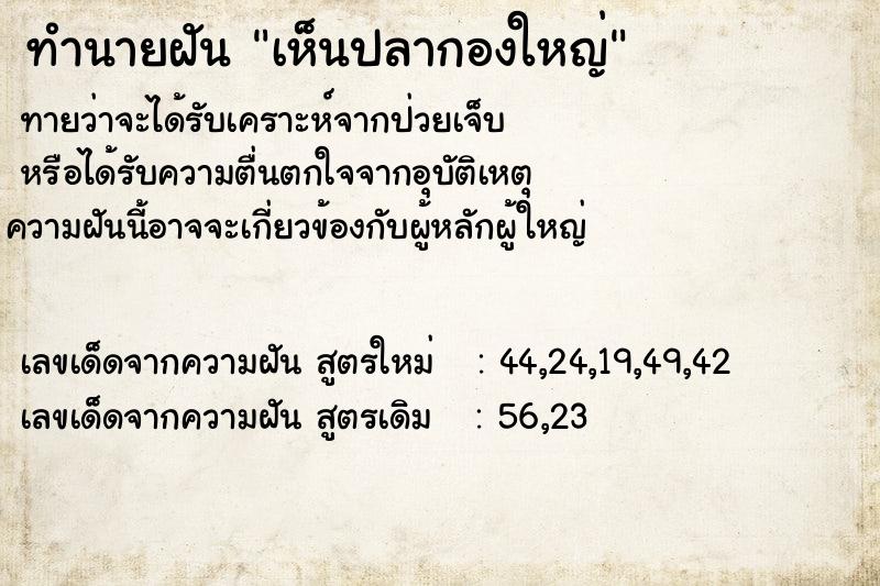 ทำนายฝัน เห็นปลากองใหญ่