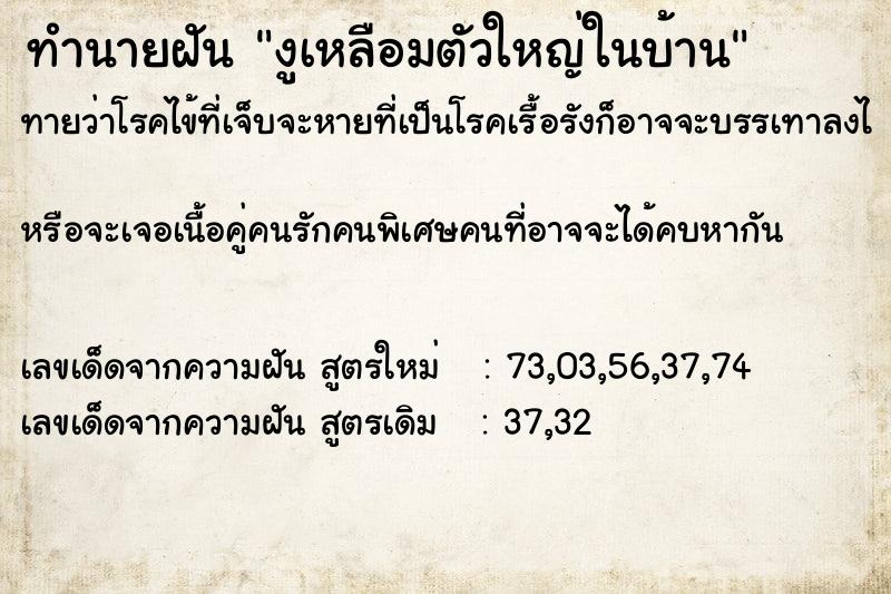 ทำนายฝัน งูเหลือมตัวใหญ่ในบ้าน  เลขนำโชค 